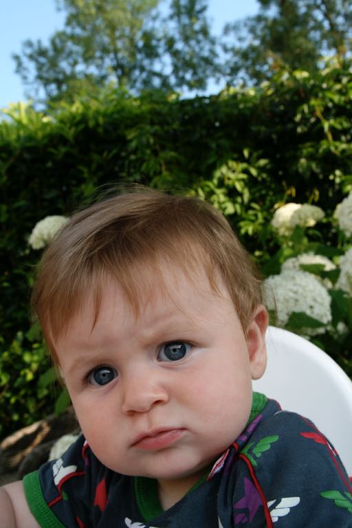 EOS IMG_20090713_0719