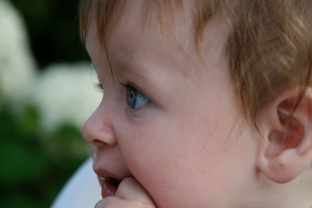 EOS IMG_20090713_0795