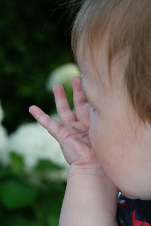 EOS IMG_20090713_0806