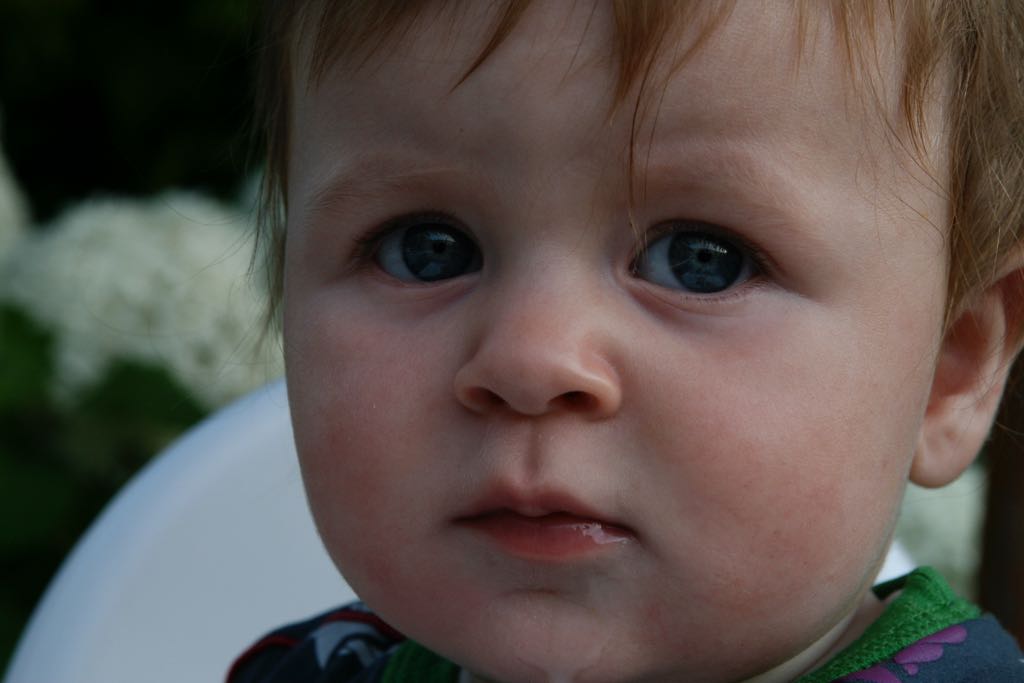 EOS IMG_20090713_0807