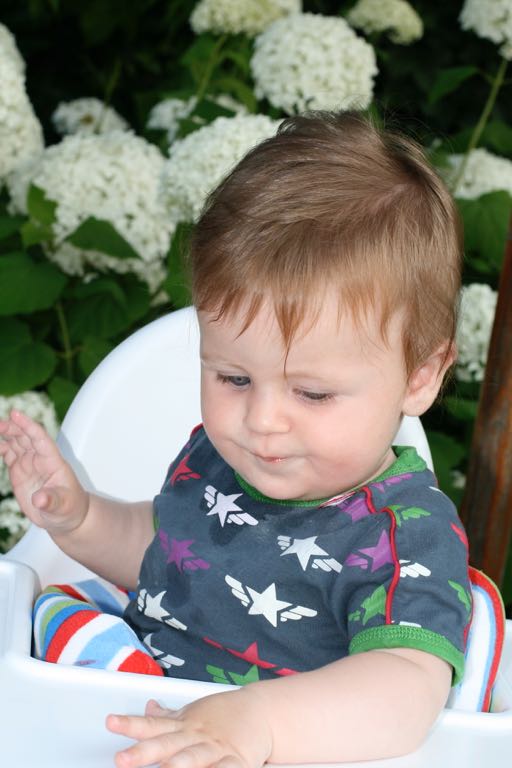 EOS IMG_20090713_0814