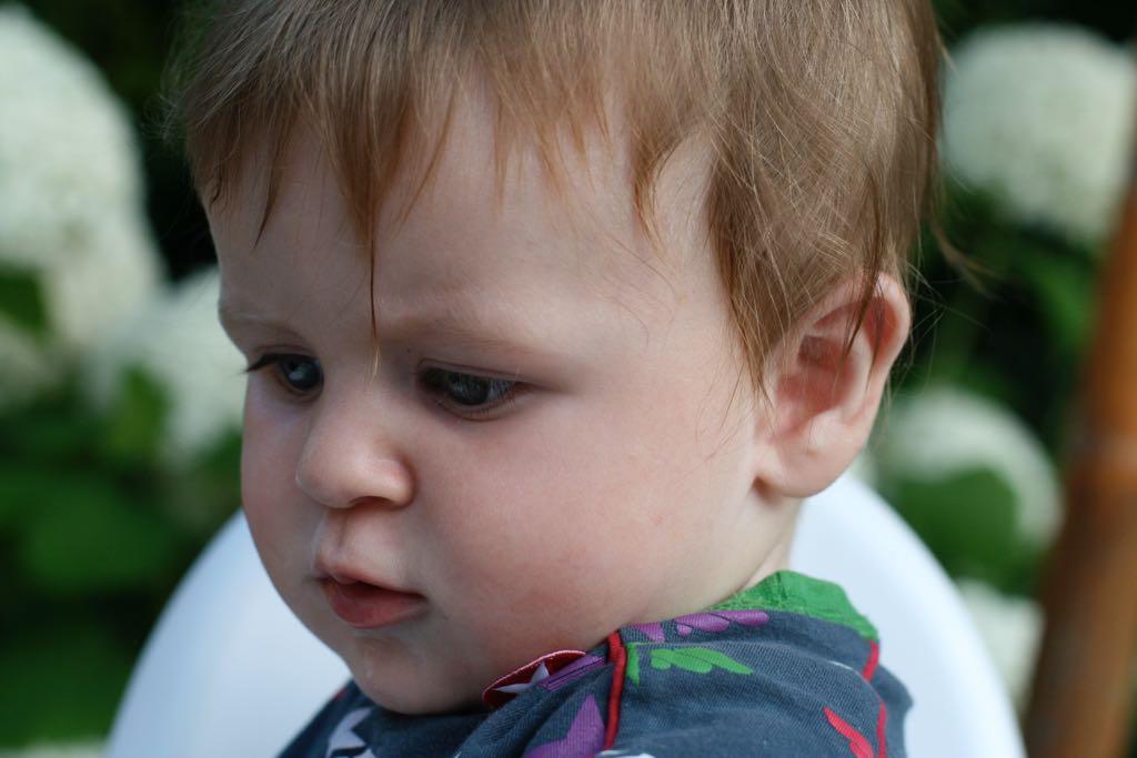 EOS IMG_20090713_0818