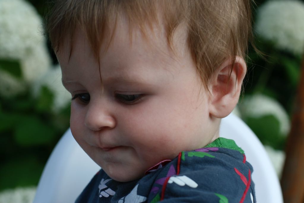 EOS IMG_20090713_0819