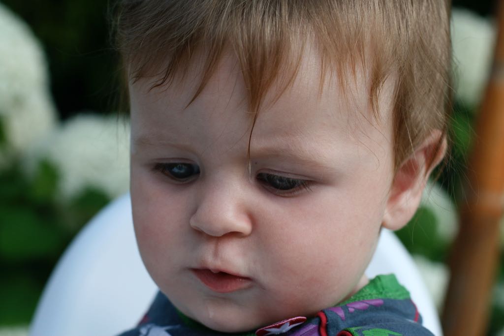 EOS IMG_20090713_0821