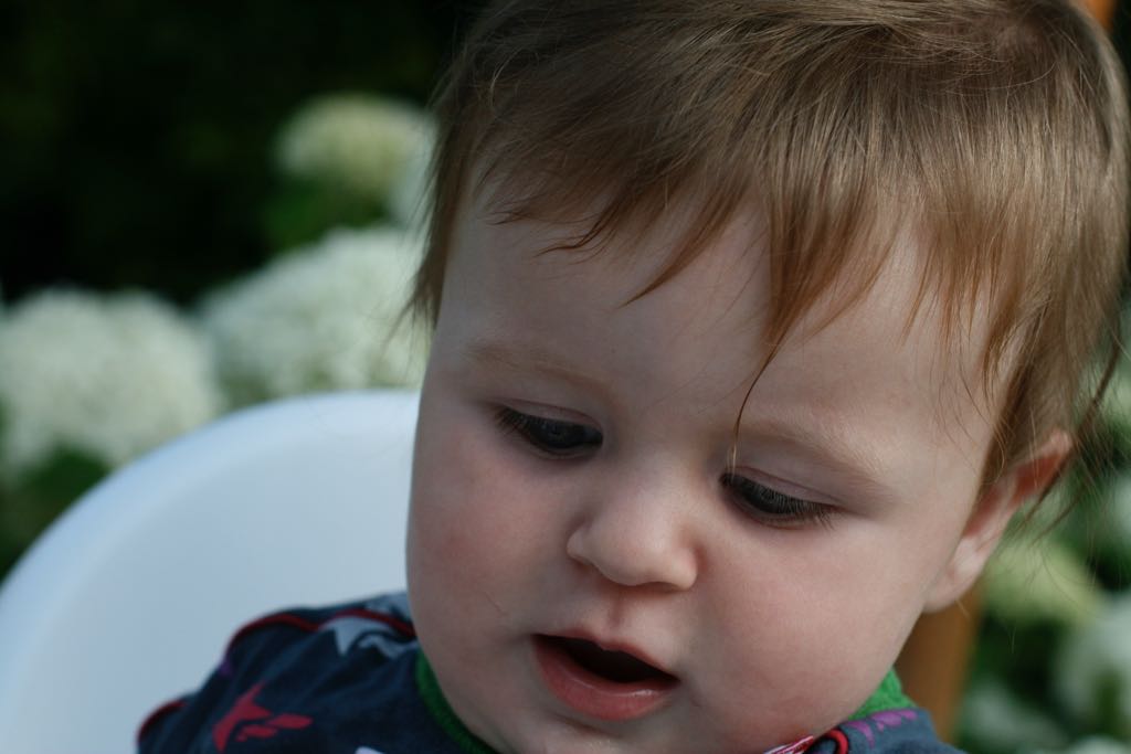 EOS IMG_20090713_0822