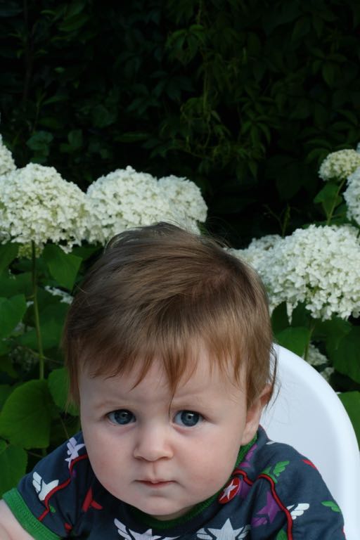 EOS IMG_20090713_0833