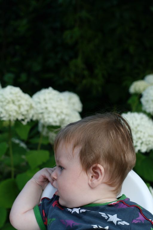 EOS IMG_20090713_0835