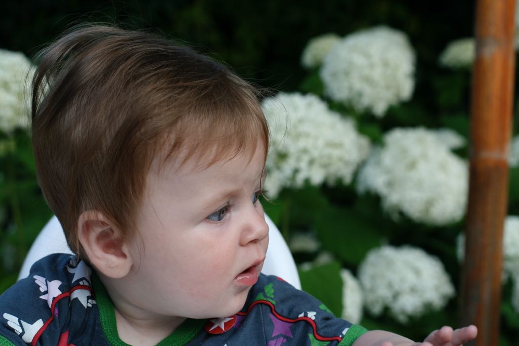 EOS IMG_20090713_0841
