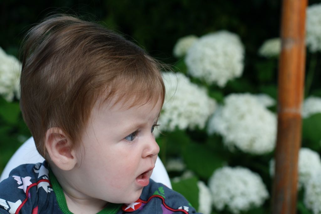 EOS IMG_20090713_0845