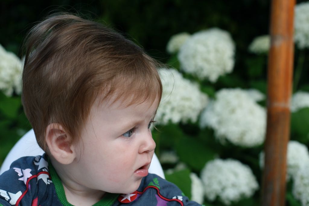 EOS IMG_20090713_0846