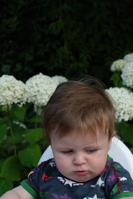 EOS IMG_20090713_0852