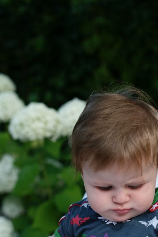 EOS IMG_20090713_0856