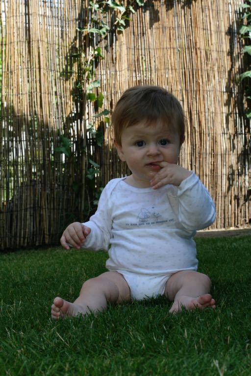 EOS IMG_20090716_0872