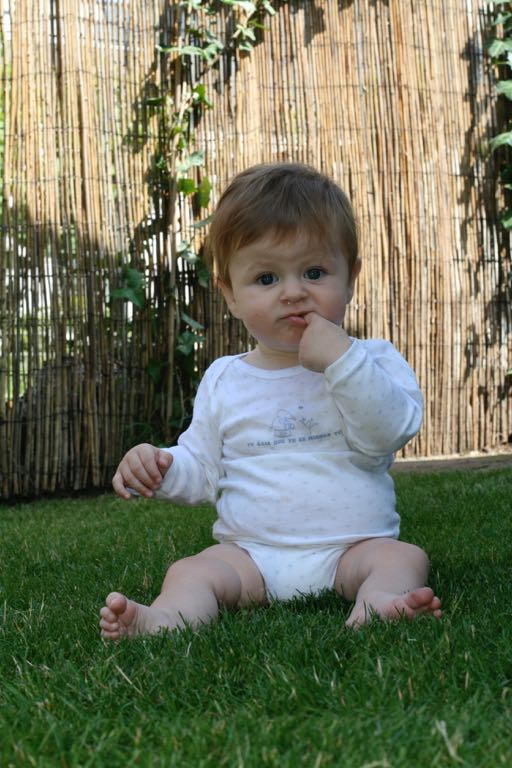 EOS IMG_20090716_0873