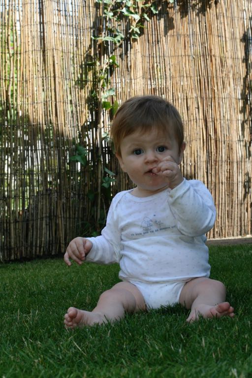 EOS IMG_20090716_0874