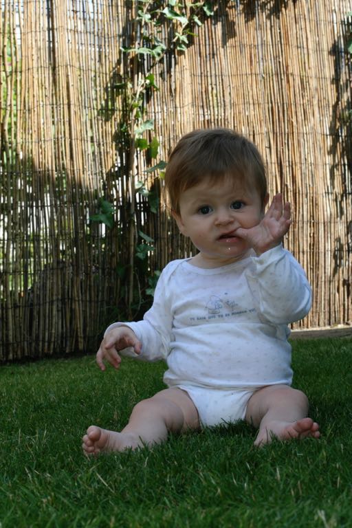 EOS IMG_20090716_0876