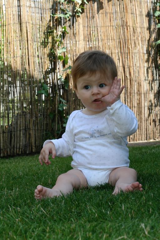 EOS IMG_20090716_0877