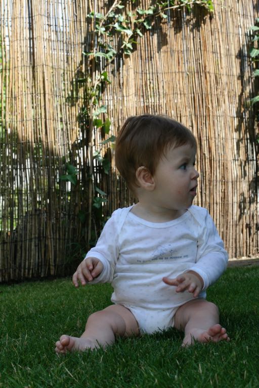 EOS IMG_20090716_0879