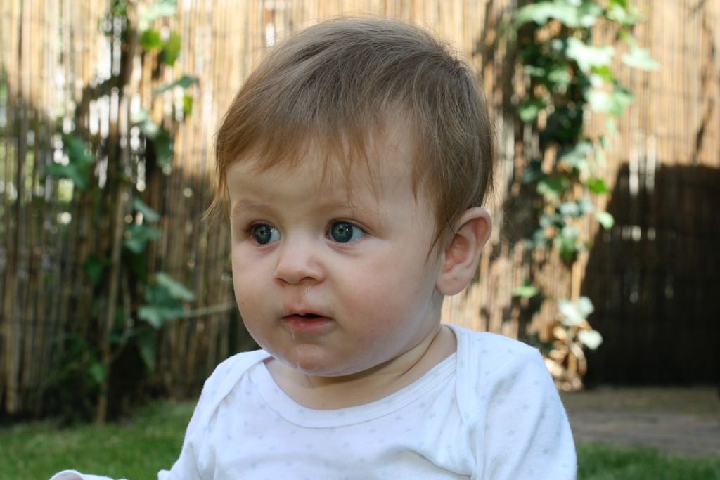 EOS IMG_20090716_0883