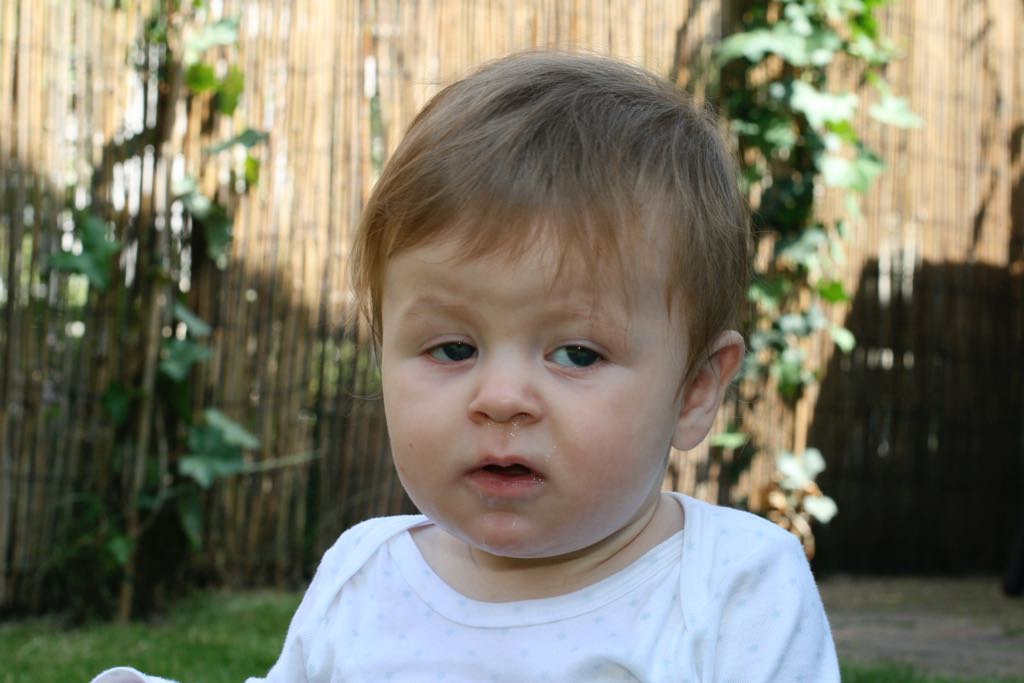 EOS IMG_20090716_0884