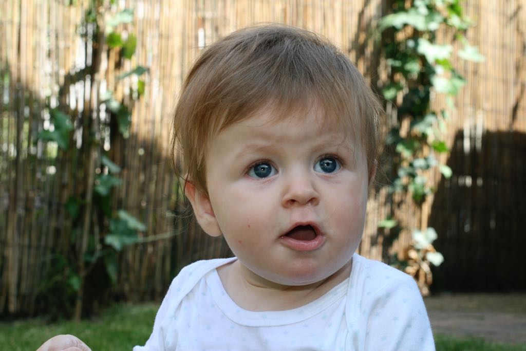 EOS IMG_20090716_0885
