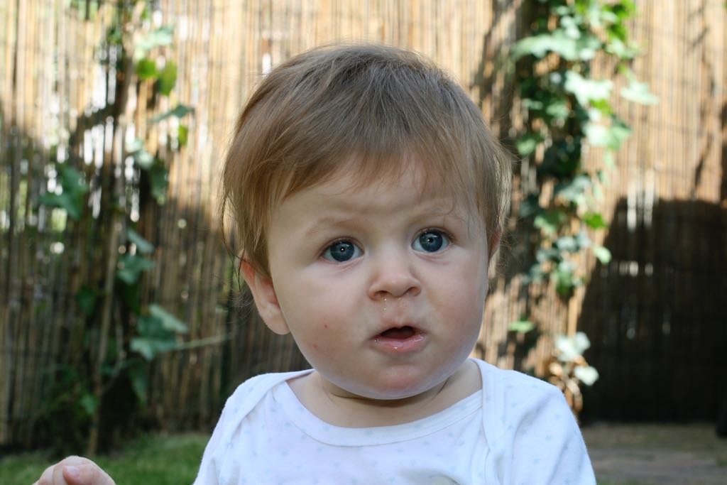 EOS IMG_20090716_0887