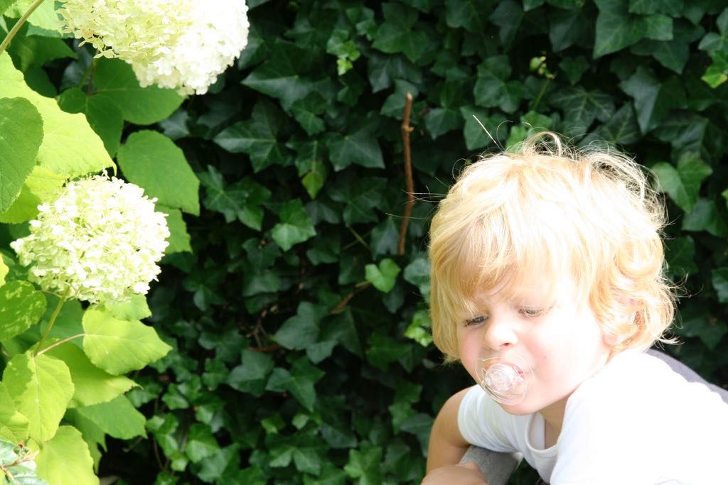 EOS IMG_20090807_0965