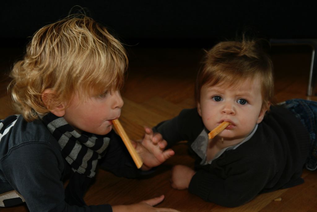 EOS IMG_20090828_1002