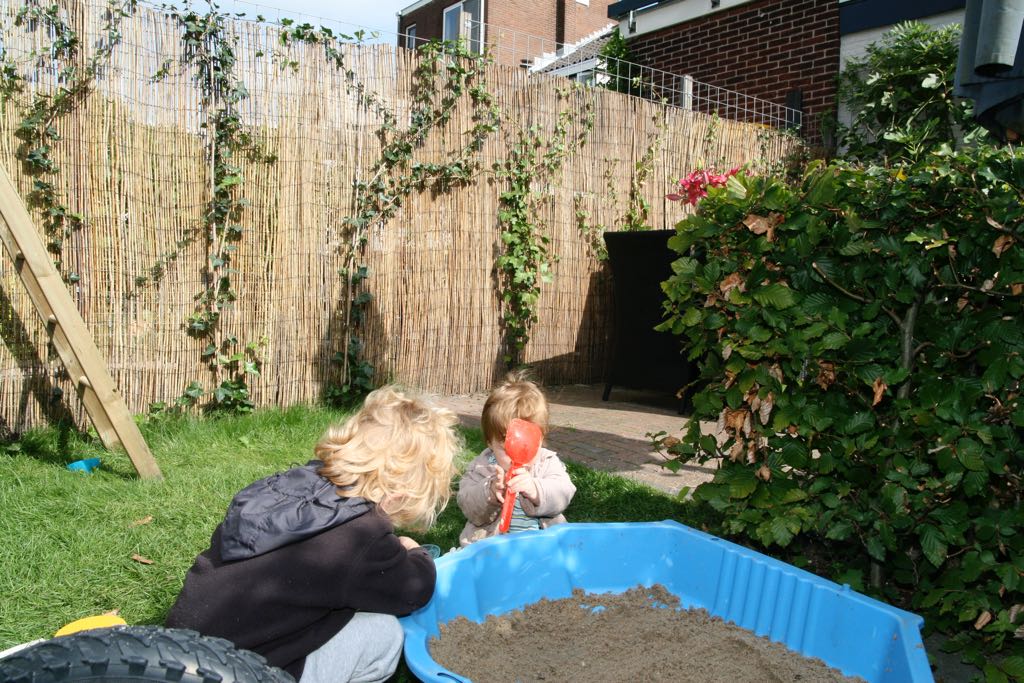 EOS IMG_20090917_1011