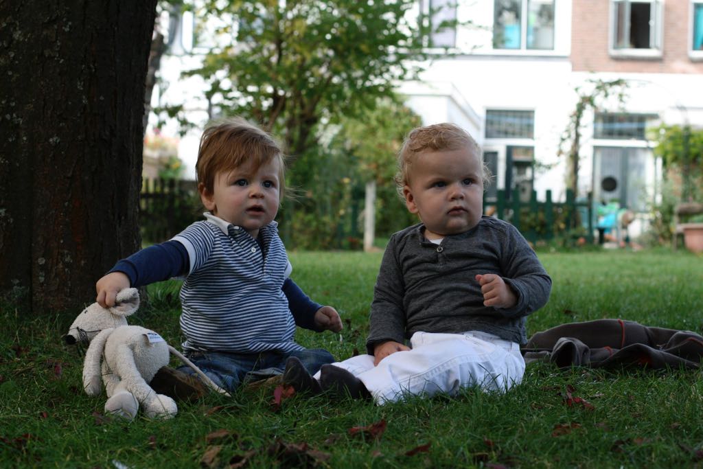EOS IMG_20090927_1120