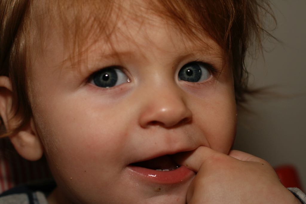 EOS IMG_20091016_1126