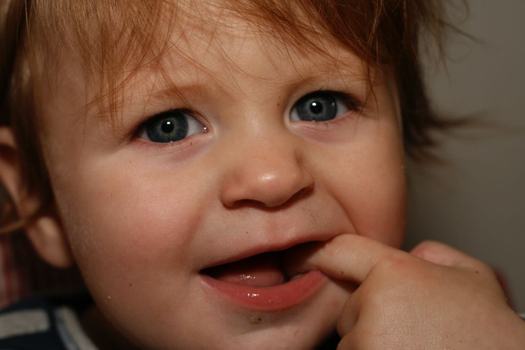 EOS IMG_20091016_1127