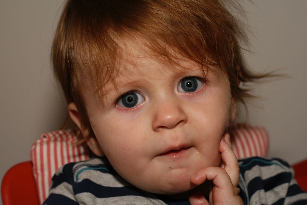 EOS IMG_20091016_1139
