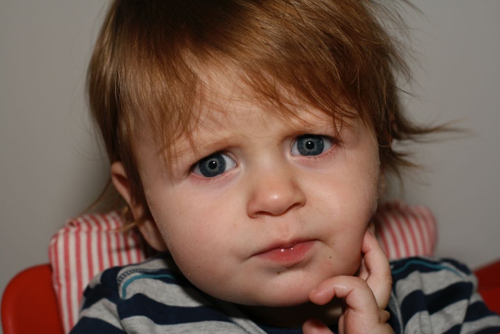EOS IMG_20091016_1140