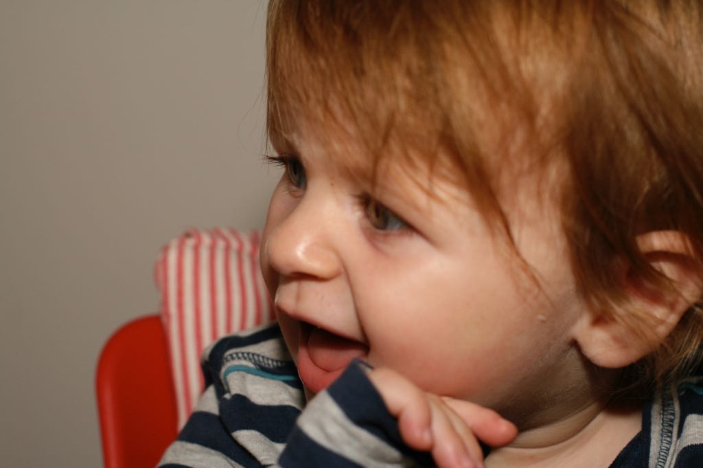 EOS IMG_20091016_1145