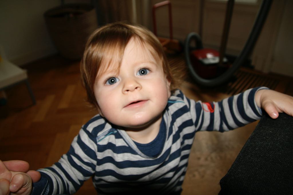 EOS IMG_20091115_1186