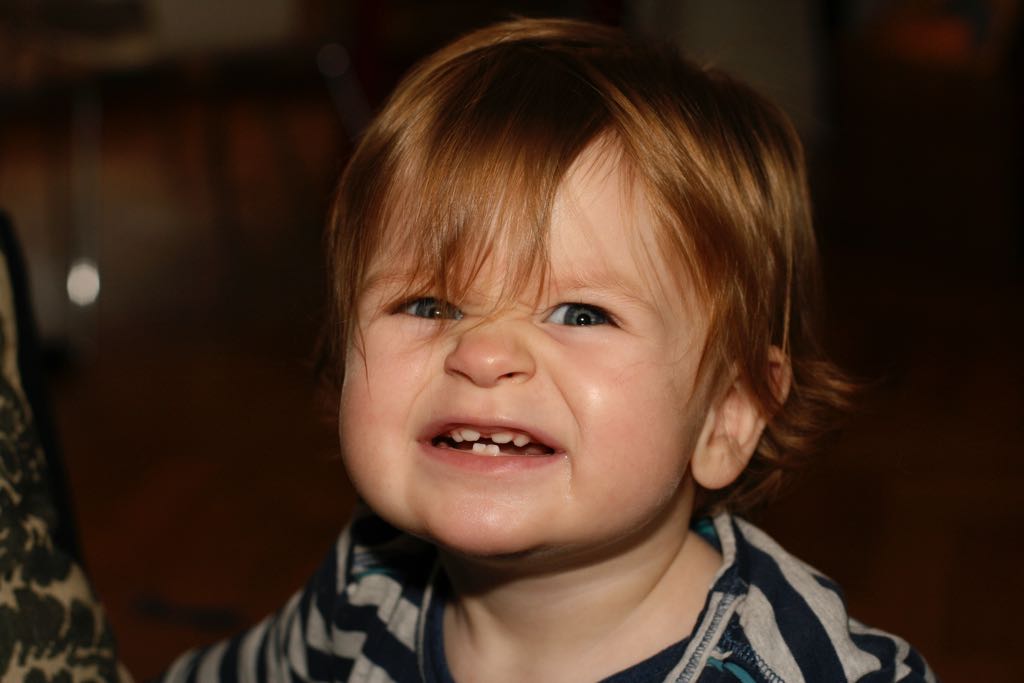 EOS IMG_20091115_1188