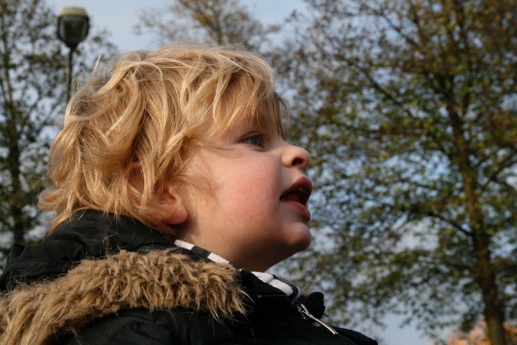 EOS IMG_20091115_1220