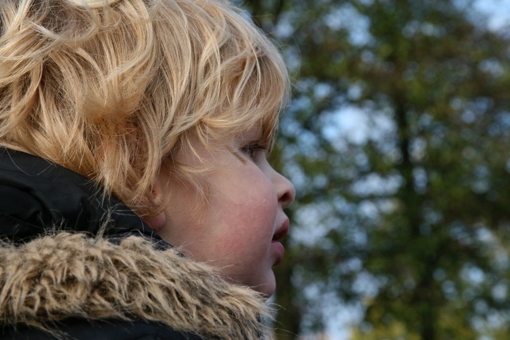 EOS IMG_20091115_1222