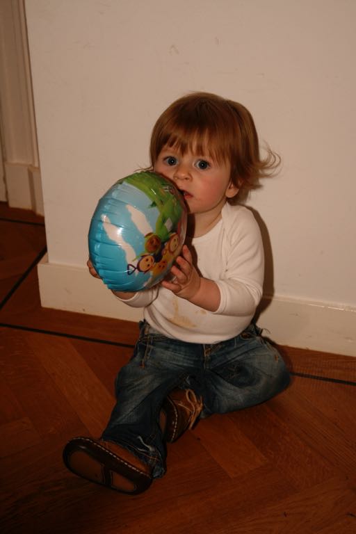 EOS IMG_20091124_1268
