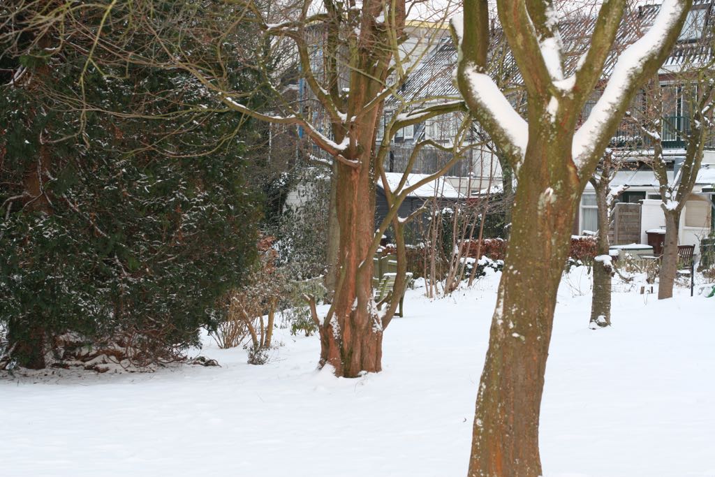 EOS IMG_20091220_1400