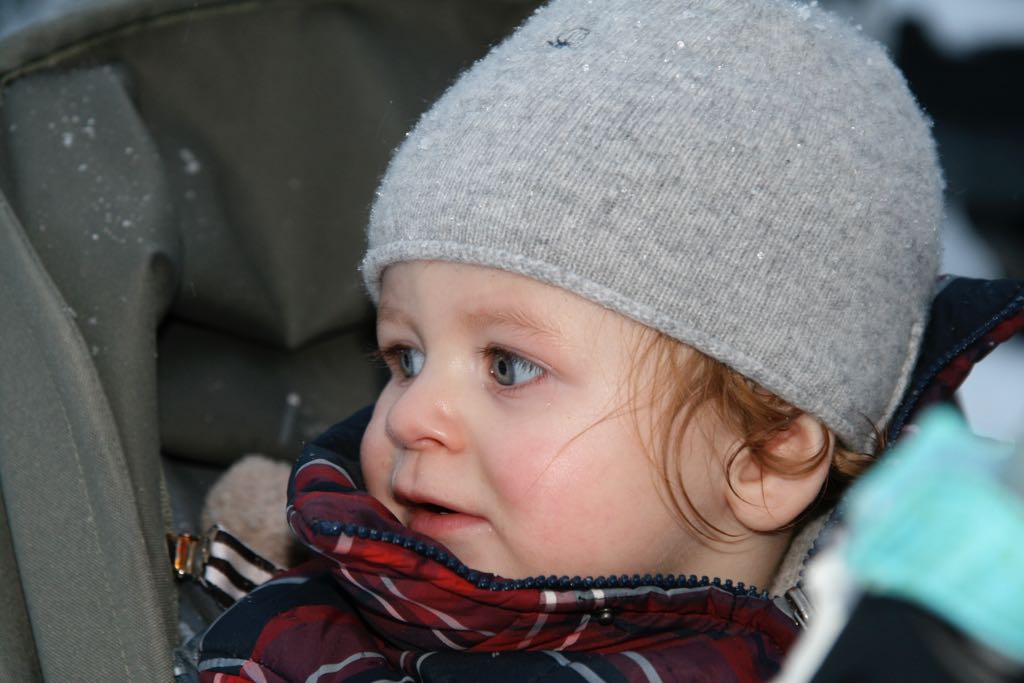 EOS IMG_20091220_1411