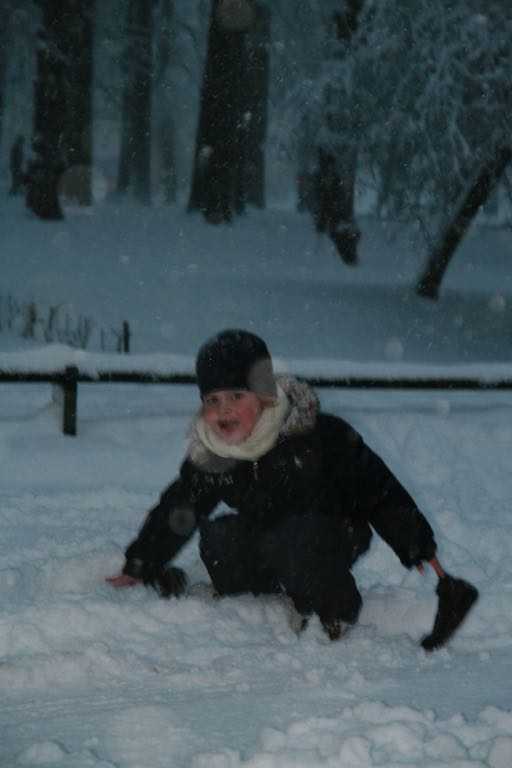 EOS IMG_20091220_1423
