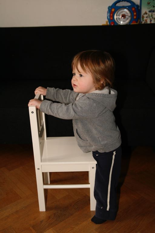EOS IMG_20100108_1434