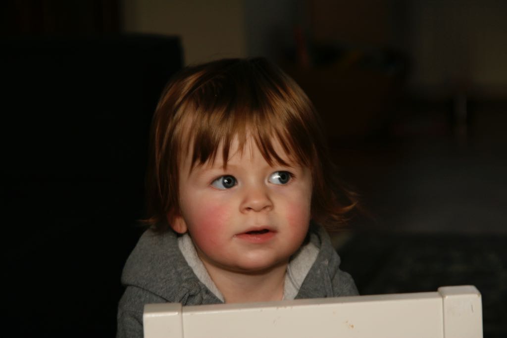 EOS IMG_20100108_1446