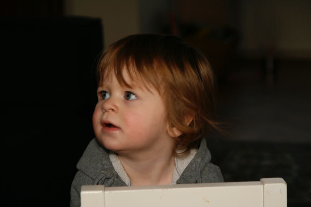 EOS IMG_20100108_1448