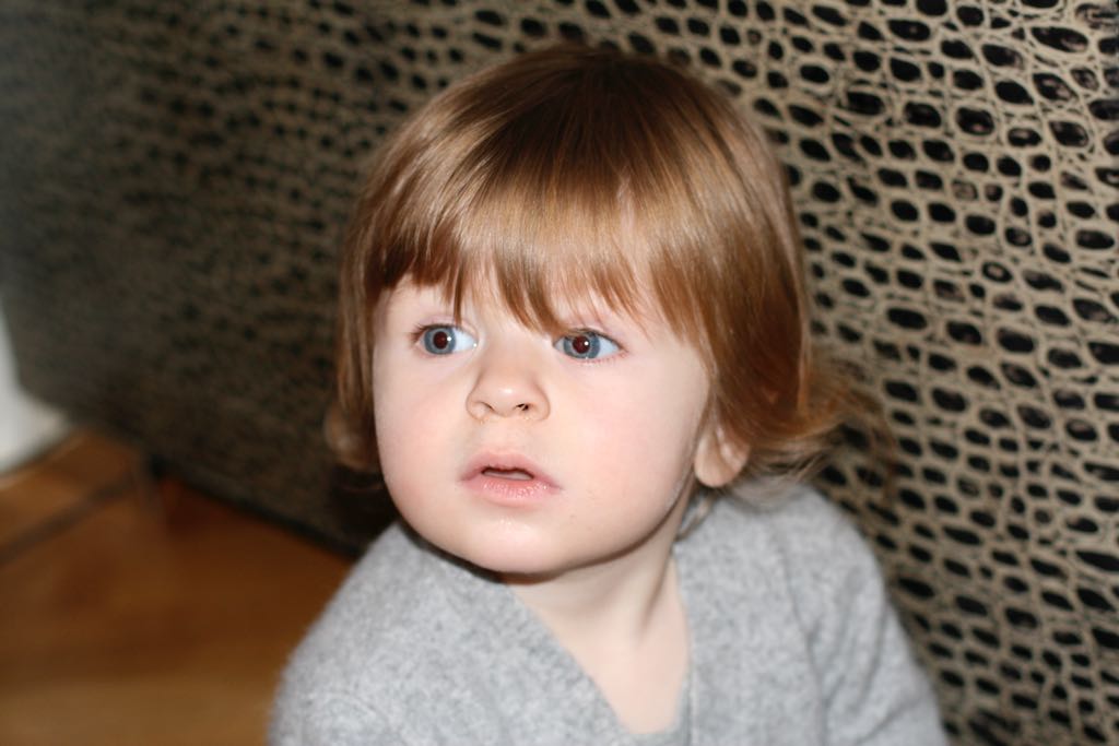 EOS IMG_20100122_1451