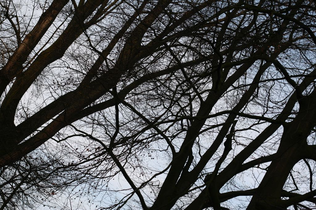 EOS IMG_20100122_1471