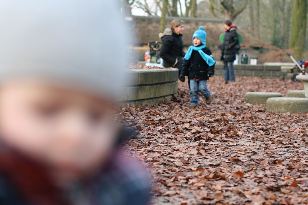 EOS IMG_20100122_1484