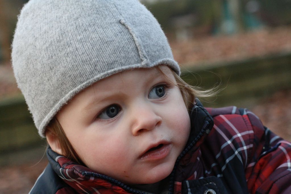 EOS IMG_20100122_1488